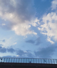 �������ġ���������գ����׵�У԰