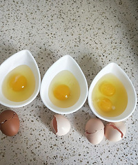 ��ɹ˫ʮһ����������԰������װ�ܺã�һ����û��