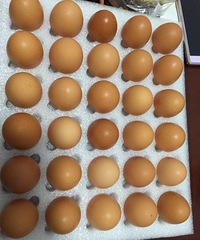 ��ɹ˫ʮһ�������ؼ����ļ�����ԭ��40����ֻҪ9.9