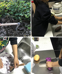 �ڷ���������̨����ɫ��Բ