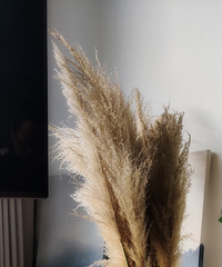 ��ɹ˫ʮһ�������˼�88�ۣ������ƿ���ʺ϶���ĸо�