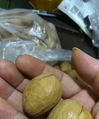 �½���ֽƤ���ң���С�ⱥ����ζ���ܲ���