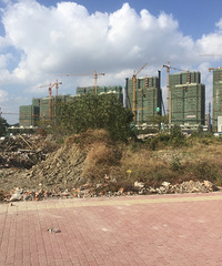 �������ռǡ�����ҿ���������Ƶؿ��������ɴ