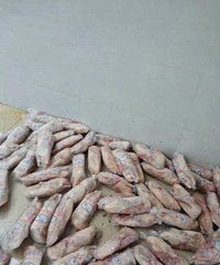 ���۸��᡿22��Ǯһֻ�Ŀ�Ѽ��123��Ǯһֻ�Ŀ�Ѽ��ʲô����