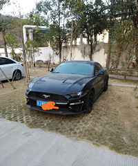 �����������ǻƼӺڣ���ο�����ȫ�ڵģ���ơ�������