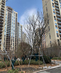 �ⰲ�÷����Ż����԰�