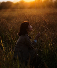 ĺ���ʫ�Ĺ���