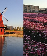 �º�����壬���ֺ����ĸо�