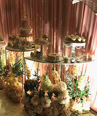 �����Ļ����ֳ������������н�