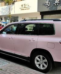 ��ɫԽҰ�����ʺ�Ů������С����