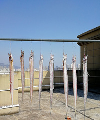 [������]ɹ��ɵĺ�����