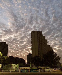 ���۸��᡿67�����������ӣ�����ô����֧����