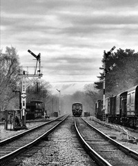 ���۸��᡿Ϊʲô���ڸ�ѧ����Ϊ��һ�ֱ����׾ܾ������ɣ�