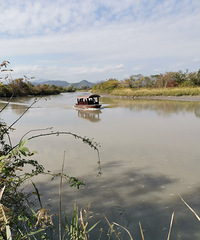 �������ġ������ļ����ʪ�أ���̲��«�����Ի�׮��