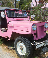 Ů������7��8�����ң��Զ�����ɶ�������Ƽ�