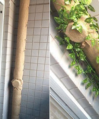 �����ʡ�˰�����Ǯ���������ŵ���