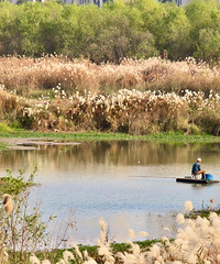 ���������У����Ǳ���������֪��«���ݵ���������