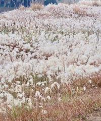 ���Ǳ���������֪��«���ݵ���������