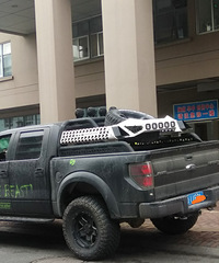 ���Ӧ���Ǹ���˹�����ġ����ݡ��ɣ��ߴ����ͣ�����̥ɱ�ף�