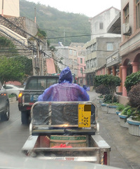 ���������ġ�����Ѱ��·���Ҿ�װ���и���