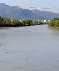 [������]�������ɫ