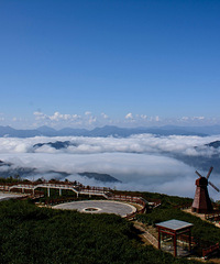 2020��һȥ�����棬2020̨����һ���ι���