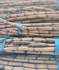 �������ġ����벻�������ᾹȻե���˺��ǣ�������ե�ò������¡�