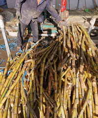 �������ġ����벻�������ᾹȻե���˺��ǣ�������ե�ò������¡�