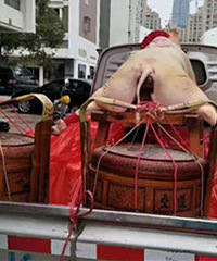 ������С�꣬Ҳ����ס����ϲ��