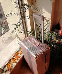 [������]��������ȥ19¥�콱