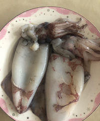 ��˵�����֬���Ƿ���ĺö౶���ֲ��ñ��⻹��