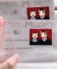 ����֤��졿19.1.2