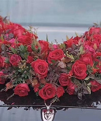 ���������ġ�����ʲô����