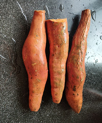 ΢��¯������