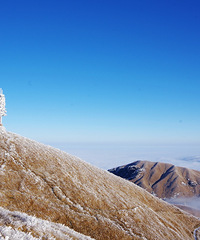 �书ɽɶ��û�У���ȥ���Ժ�����ȥ