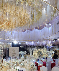 ����������ġ��μ����ѵĻ��磬�ڼ�������һ�����Ժ���