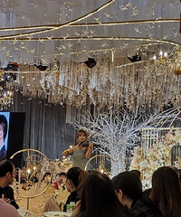 �������ġ����»��������Ƶ����