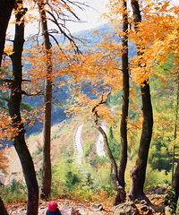 �㽭���������8�����ŵ���̨���ϰ�3����