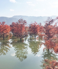 �ٺ�С֥ţͷɽ�������н��һ����ε���