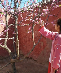 Ϊ�����𱦺���ϼ���ӣ�ֵ��������һ��