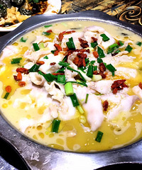 ���ī������Ķ����ܺó�~~ÿ�ζ����