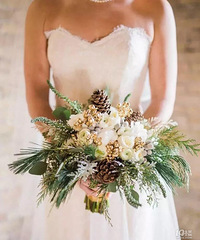 ������������ôѡ?�����������Ķ�����