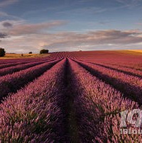 ���۸��᡿������ѧ��̨�ݹ������㲻��û��Ϣ��