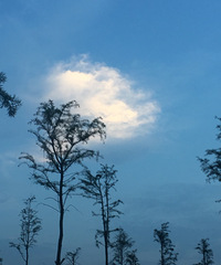 �������ġ�+����ʱ�ֵķ�������