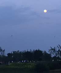 �������ġ�+����ʱ�ֵķ�������