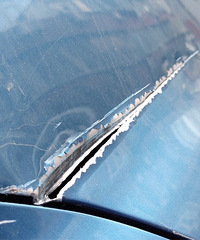 ���������ġ������Ҳ����ף�����̶ȲŽл��� ?