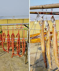 ����ɹ��¥�����㳦������ɹ����