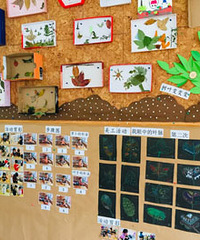 С�������Լ������������ֹ���Ӱ��̫����