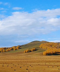 ������ͳ��ԭ���ͻ���ģʽ����ֱ������ı�ȥ֮��