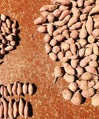 ���ʱ��������ĺ���